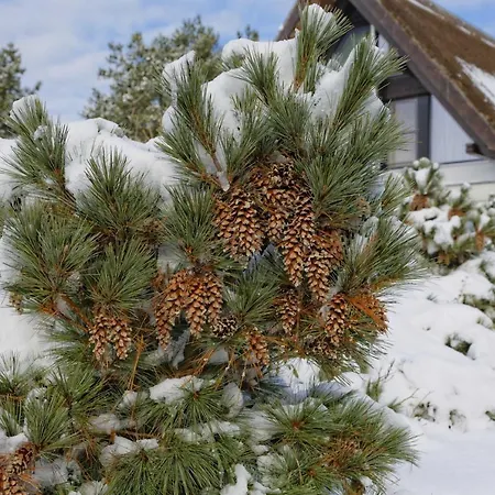 Kapitaensweg 18 Nyaraló *