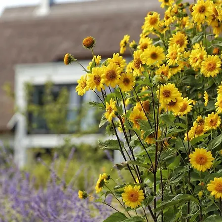 Kapitaensweg 18 Nyaraló *